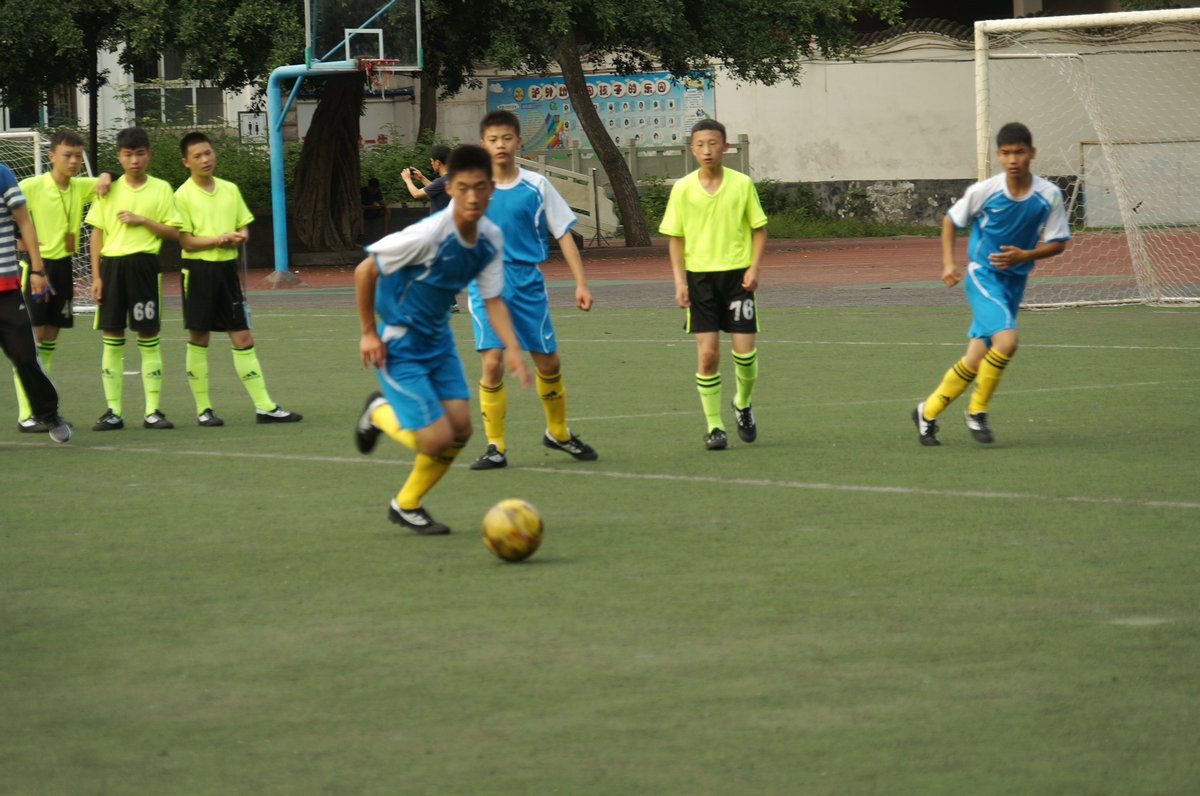 DSC01333.jpg