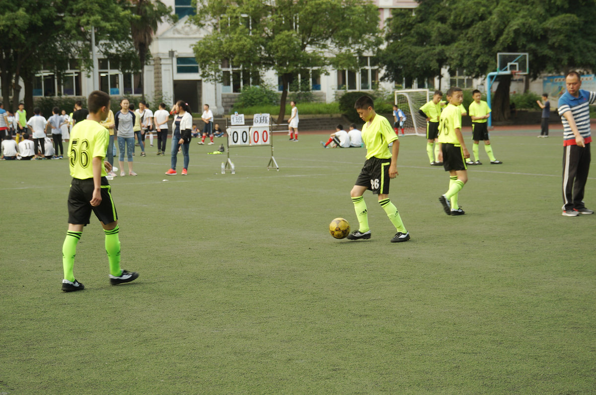 DSC01337.jpg