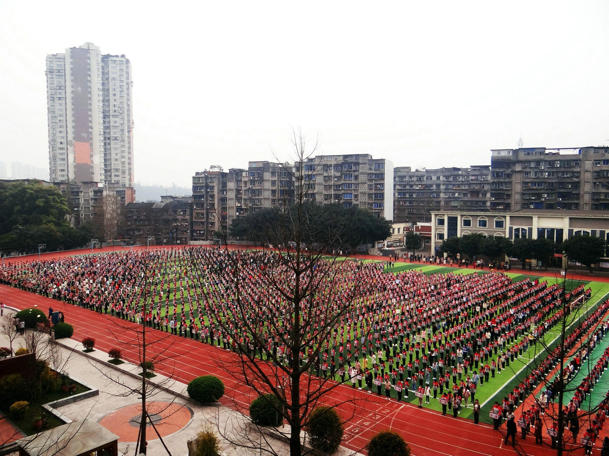 QQ图片20190311095401_副本.jpg