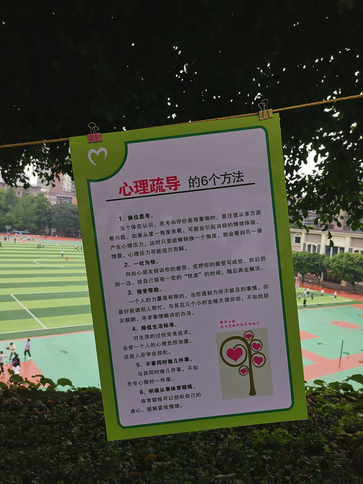 IMG_20190528_153619.jpg