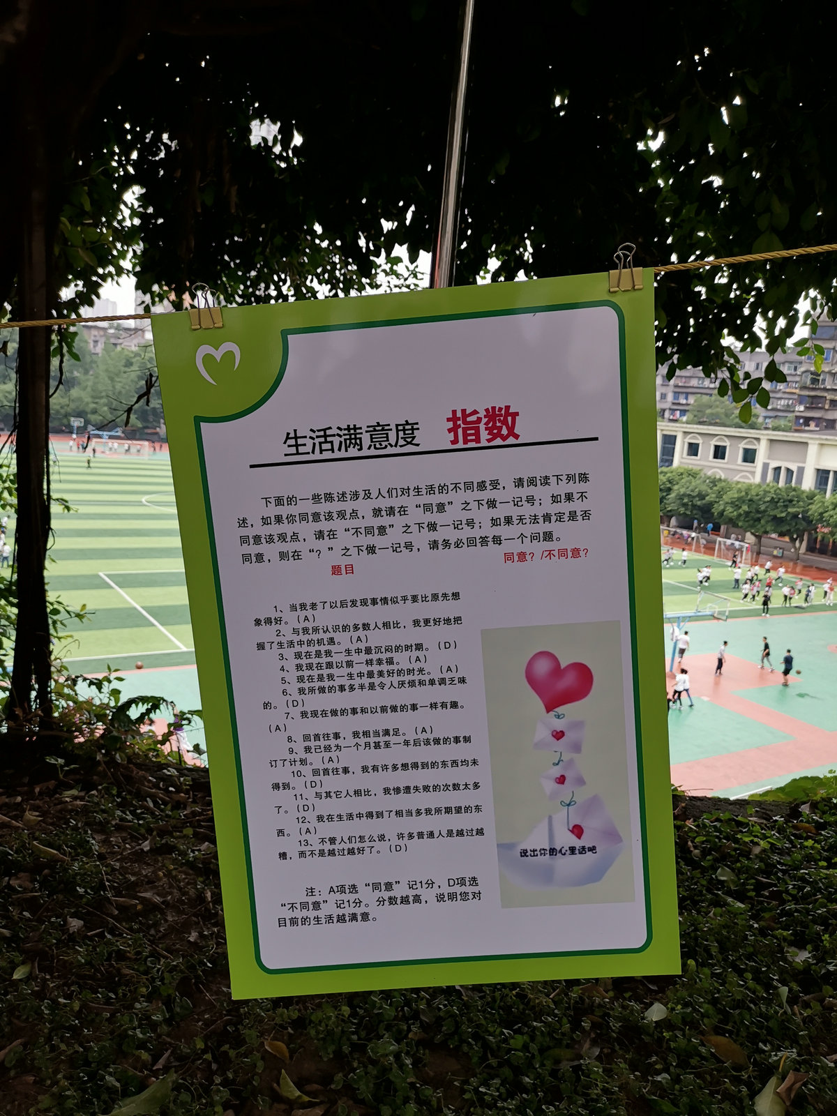 IMG_20190528_153623.jpg