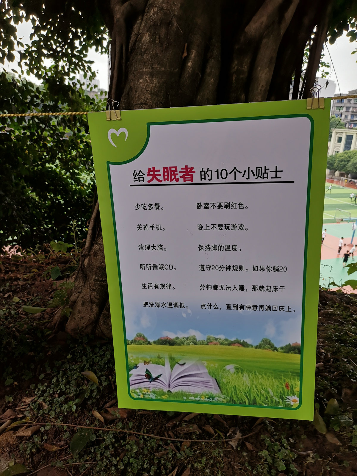 IMG_20190528_153628.jpg
