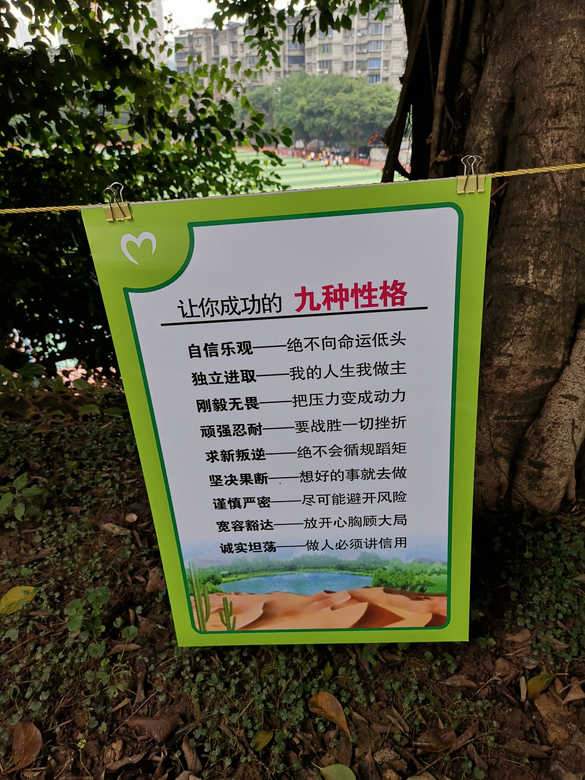 IMG_20190528_153635.jpg