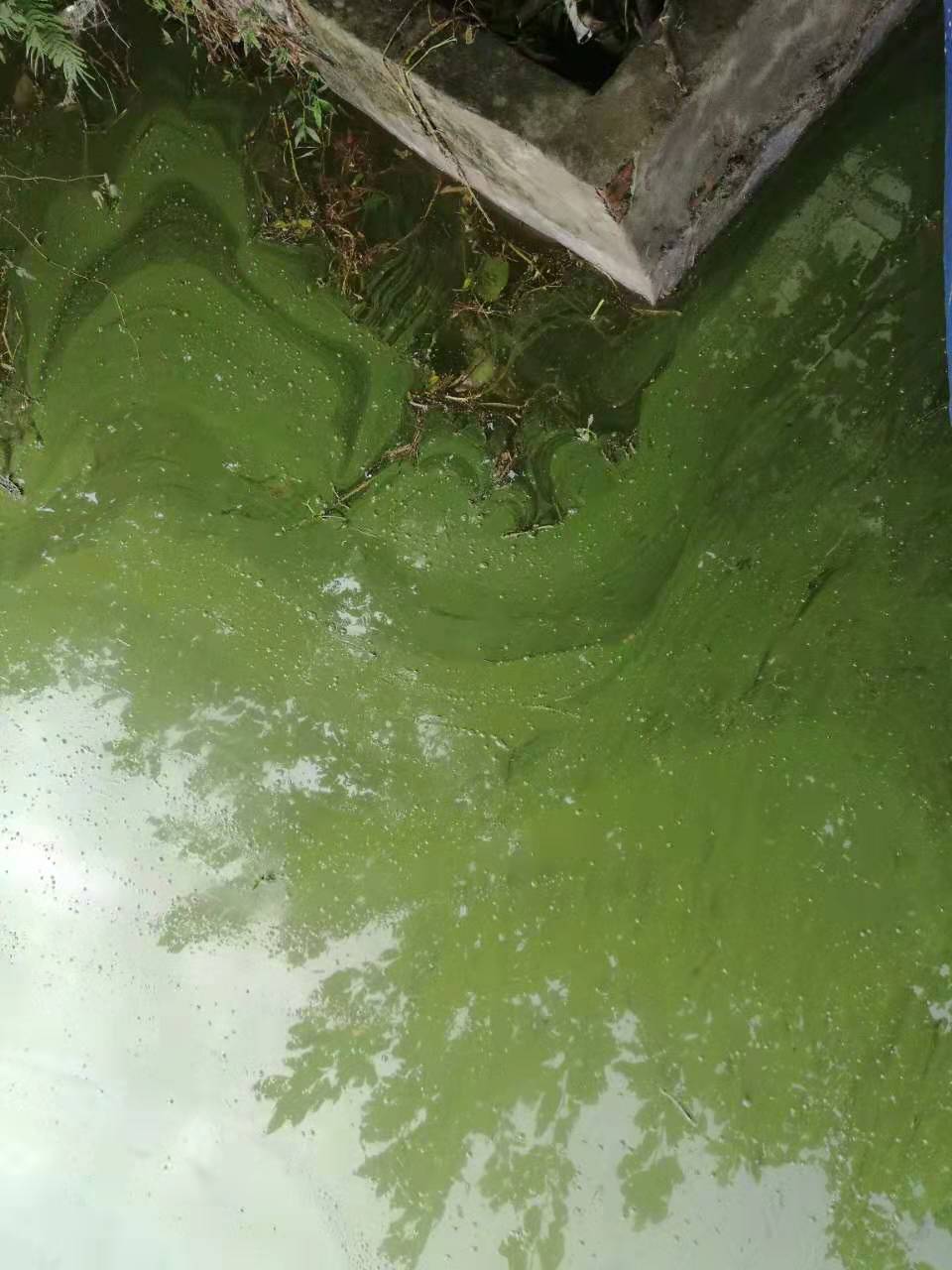微信图片_20190714105239.jpg