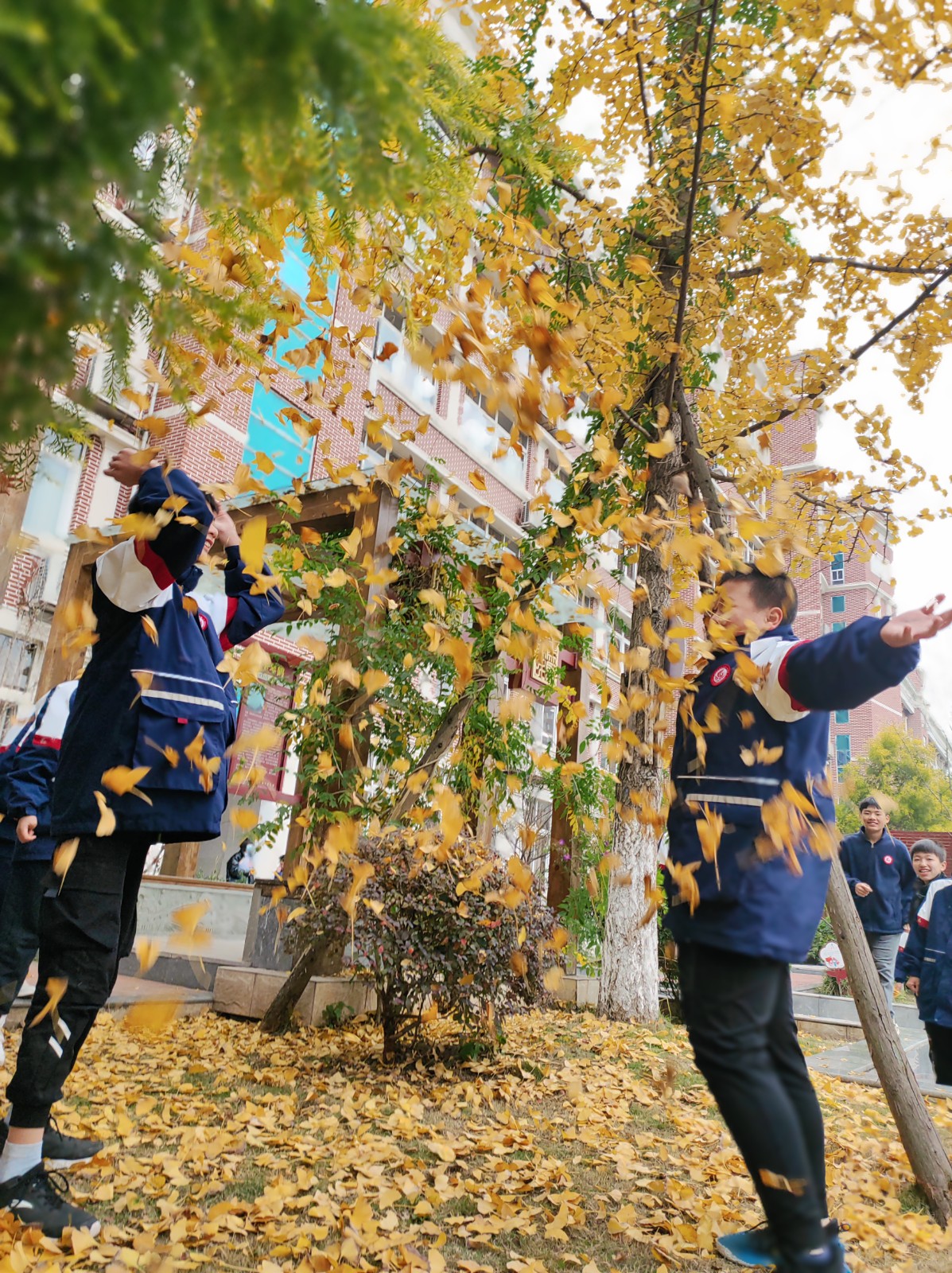 微信图片_202112031006132.jpg