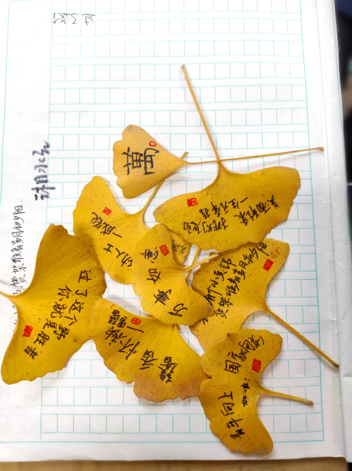 微信图片_202112031006135.jpg